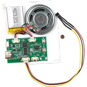 Activated  Module | DIY Recordable Sound Chip | 16MB MultiPlay MP3 Recorder for Crafts, Gifts &  Decor EK8491
