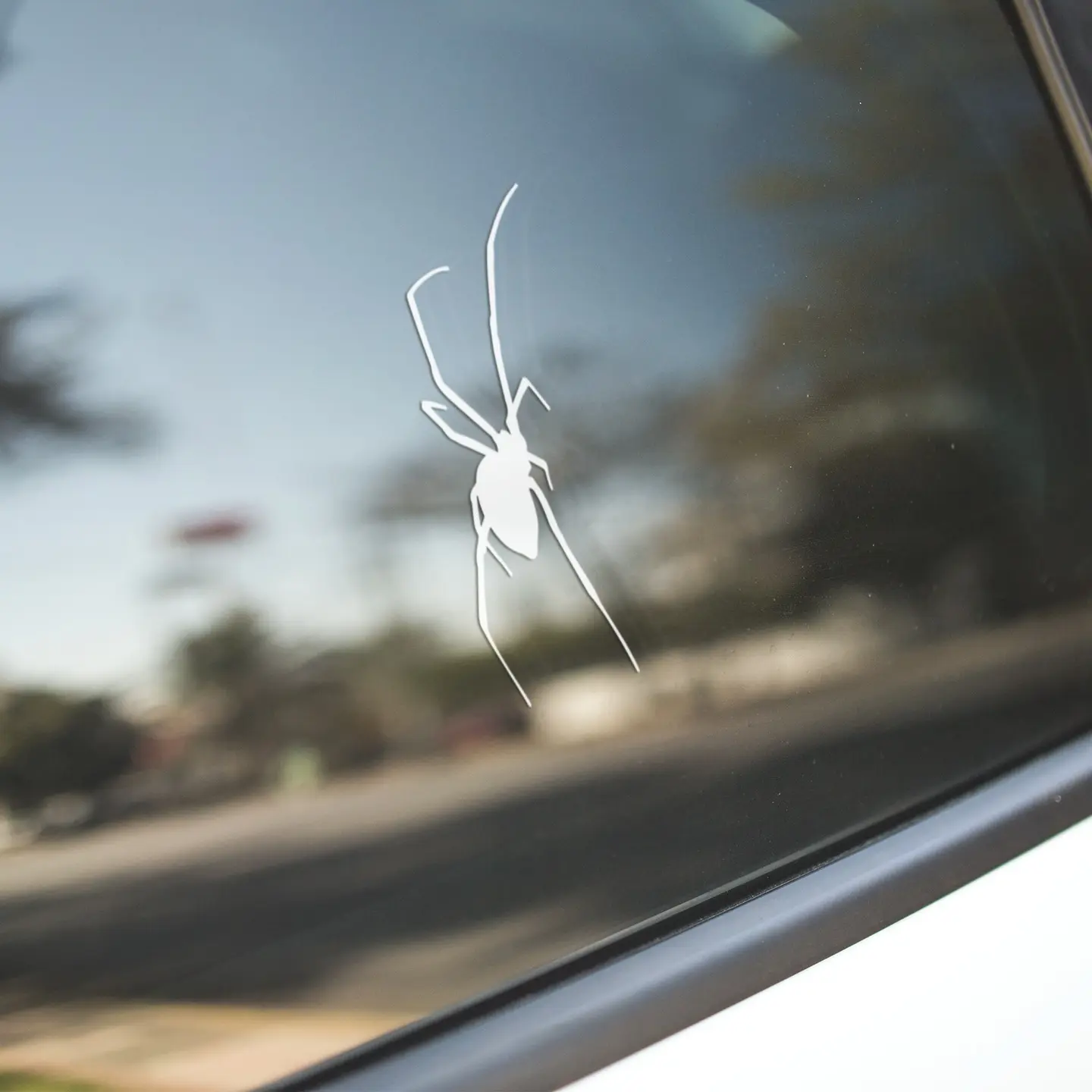 Spider Vinyl Decal - 651 Permanent Vinyl for Car, Laptop, and Window Accessories - Durable, Weather-Resistant, Self-Adhesive Backing