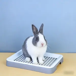 Small Pet Toilet for Rabbits Hamsters Guinea Pigs Pygmy Hedgehogs, Detachable Easy Clean Poop Tray Litter Tray Litter Box, Daily Use and Training