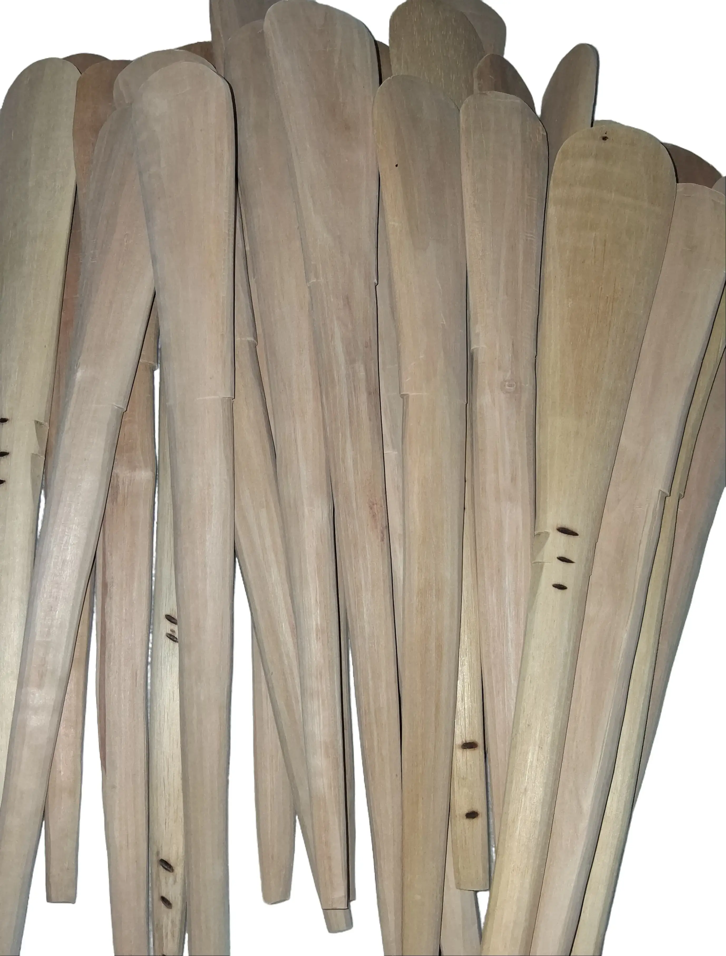 Africa spatula