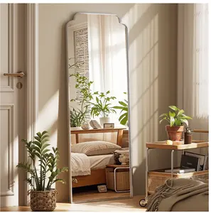 64"x21" Arched Full Length Mirror Decorative Wall Mounted Mirror with Metal Frame, Silver