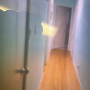 review image 4