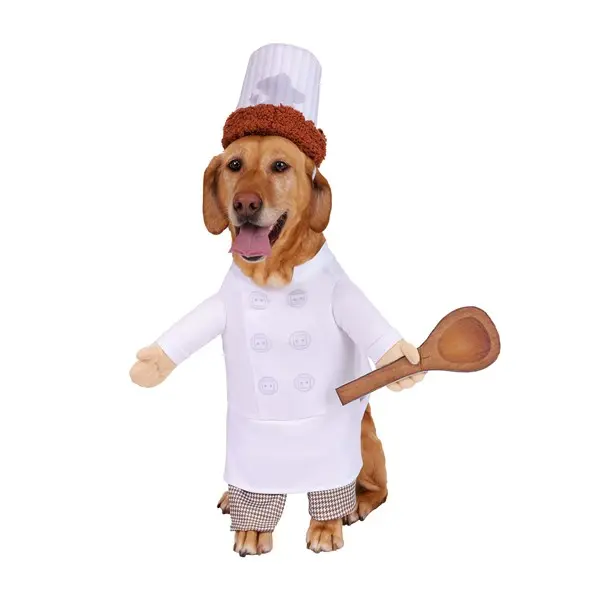 Disney Pixar Alfredo Linguini Ratatouille Pet Costume (© Disney) (© Disney/Pixar)