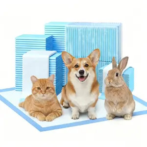 New Pet Puppy Pad , Super Absorbent Waterproof, Odor Eliminating, Leak-Proof, 6-Layer Ultra Charcoal Dog Training Pads, Disposable Pee Pad for Puppies, Dogs, Cats & Rabbits