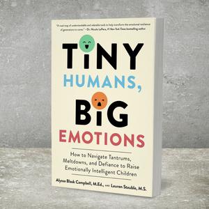 Tiny Humans, Big Emotions: How to Navigate Tantrums, Meltdowns, and Defiance to Raise Emotionally Intelligent Children―An Essential Guide for Caregivers of Children from Infancy to Age Eight [Paperback Book]
