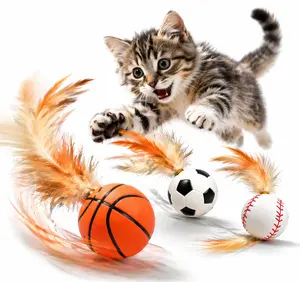 6PCS Feather Cat Toy Balls – Interactive Bouncy Cat Toys with Natural Feathers, Indoor Exercise & Hunting Play for Cats