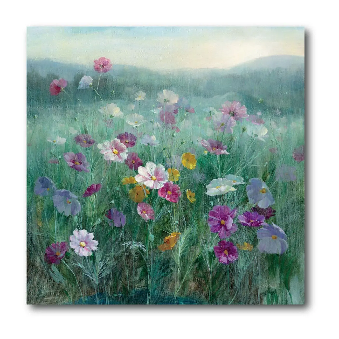 Courtside Market Cosmos at Dawn II 16x16 CanvasWall Art