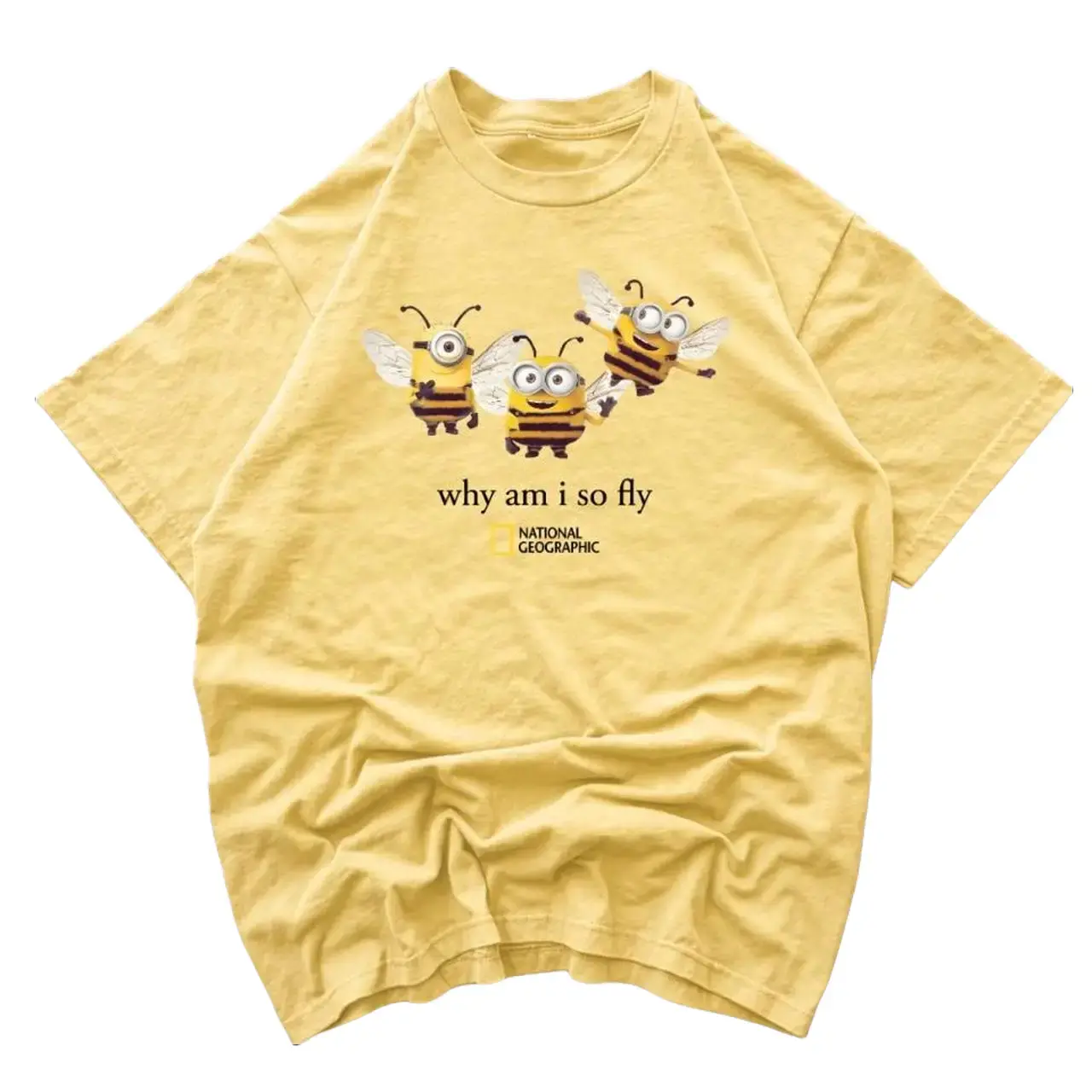 National Geographic bee graphic tee, "Why Am I So Fly" Minibee Shirt, Funny Yellow Bumblebee Cartoon Graphic Tee