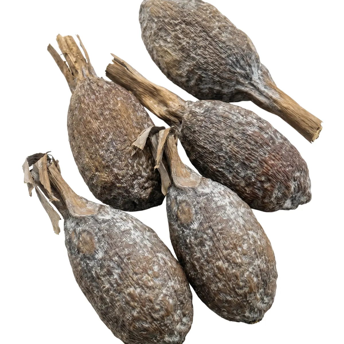 Alligator Pepper Pods (Atare / Grains of Paradise) – 5 Whole Pods, Traditional Nigerian West African Spice, 100% Natural Sun-Dried & Hand-Harvested – JEB FOODS