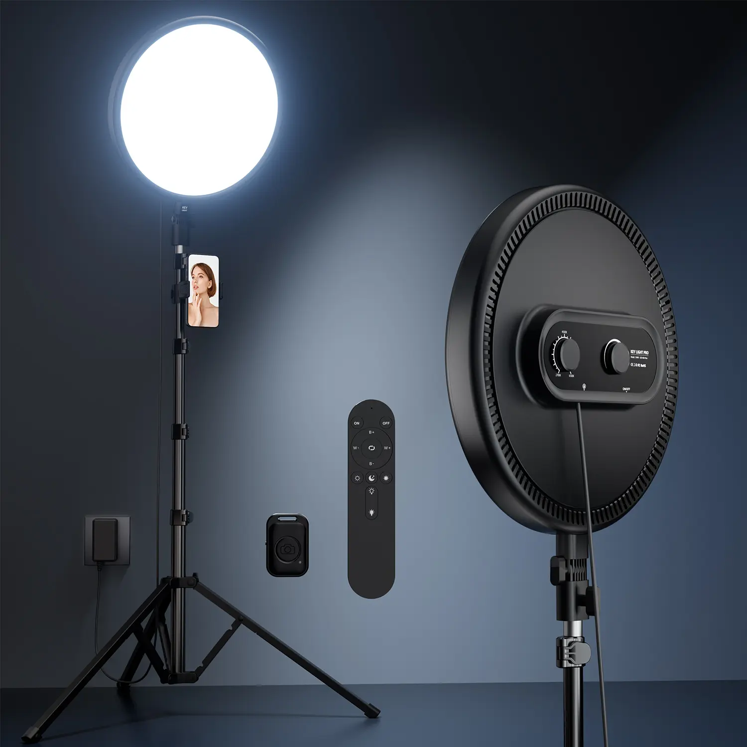 Weilisi Large Ring Light with 79" Stand, 6500K Full-Screen Selfie Ring Light with Stand and Phone Holder, Professional Big Ring Light for Live Stream, YouTube, TikTok, Makeup, Video, Photography