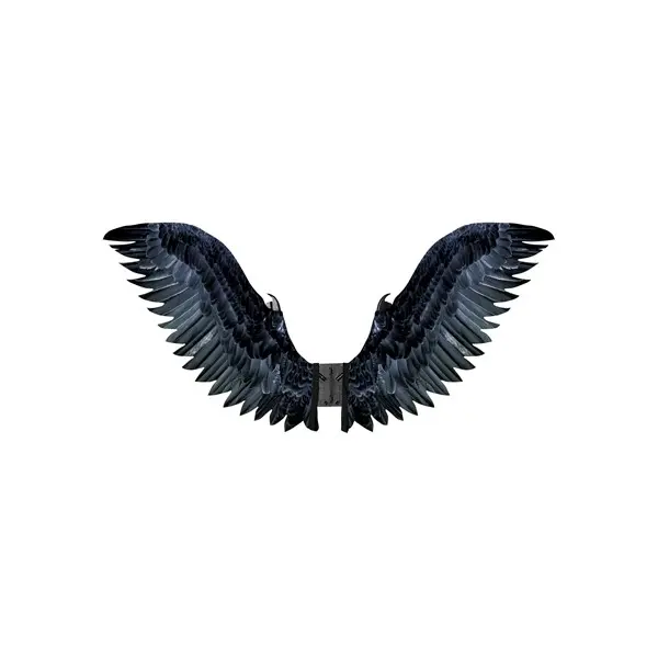 Adult Black Raven Cosplay Costume Wings
