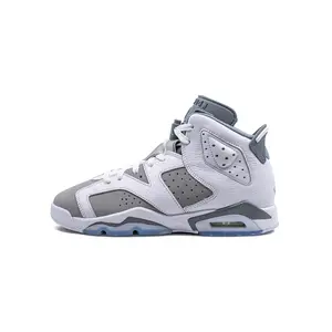 Air Jordan 6 GS "Cool Grey" 384665 100