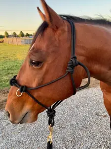Side Pull Rope Halter 3/8" with Knots on the nose #26201