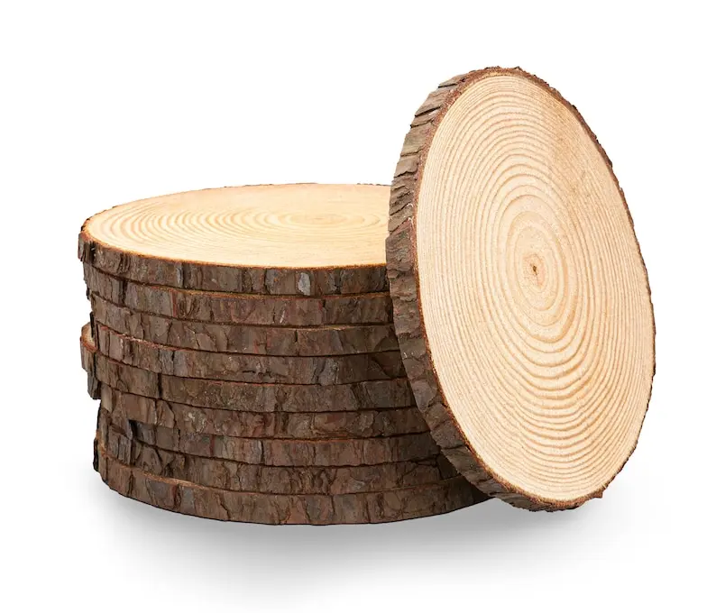 Set of Wood Slices for Centerpieces • Wedding Centerpieces • Baby Shower Centerpieces • Table Decor • Rustic Party & Event Centerpieces