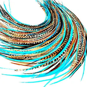 50 Natural & Turquoise Color Hair Feathers DIY Kit for Hair Extension - 9”- 14” Long - Eye-Catching Design - 20 Micro-link Beads - 100% Real Rooster Feathers