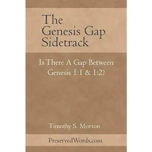 USED-The Genesis Gap Sidetrack: Is There a Gap Between Genesis 1:1 and 1:2? by Timothy S. Morton (Paperback)