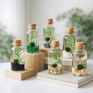 Moss Ball Pets Small Alchemist Terrariums Set of Six - Pet Moss Balls