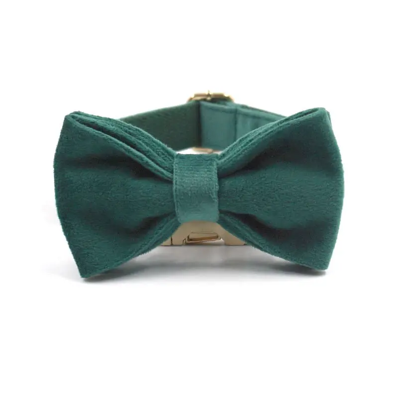 Gold Buckle