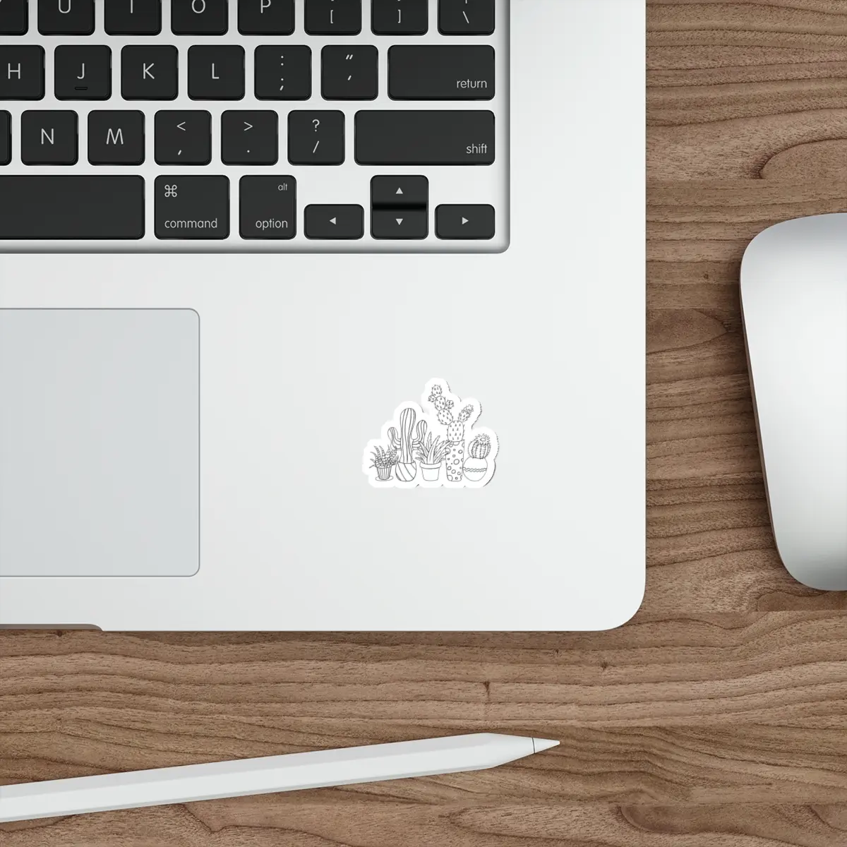“So Succulent” Illustration Die-Cut Water-resistant Vinyl Cactus Plant Stickers