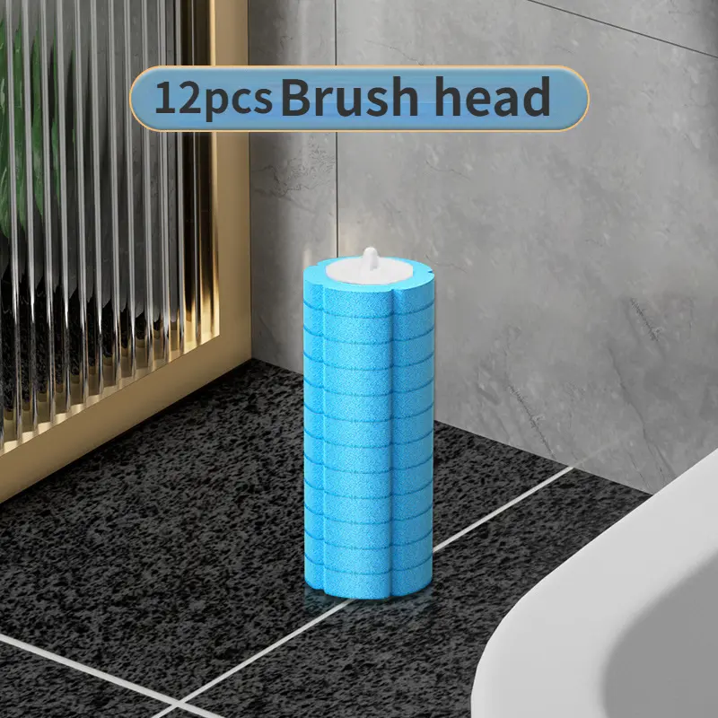 12pcs brush head
