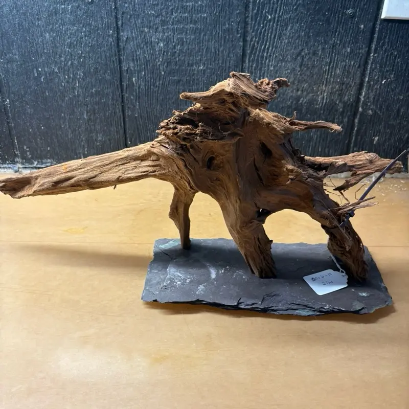 Mopani Driftwood (20x6x11) Natural Branches for Aquariums and Home Decor Unique Rustic Wood Pieces