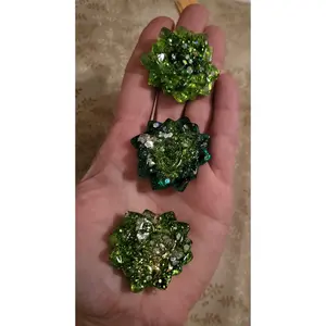 Green Succulent Magnet Set