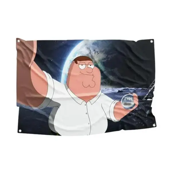 Peter Griffin Zyn Flag, Funny Flags, Room Decor, Home Decor, Flags for Room summervibes tiktokshopbacktoschool