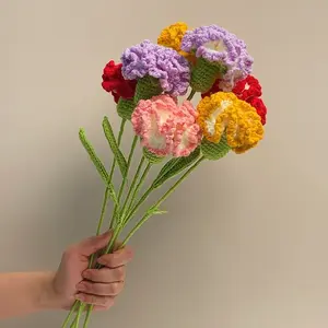 Creative Handmade Carnation Bouquet, Gradual Color Crochet Flowers, Soft and Realistic, Perfect Gift for Friends and Mothers, Vibrant Faux Flowers