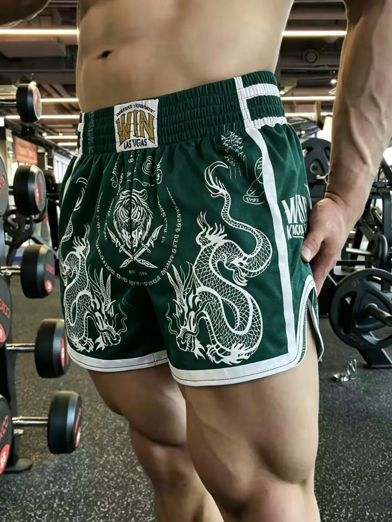 Men's Muay Thai Dragon Phoenix Tiger Print Boxing Shorts, Athletic Wear Shorts, Win Las Vegas Fitness Training Streetwear Five-Panel Pants, Casual Sports Wear