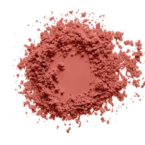 Coral Blush Cosmetic Makeup