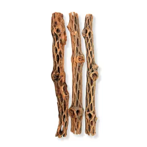 Cholla Wood