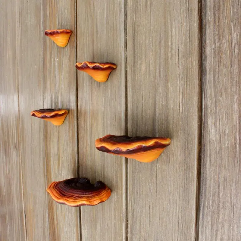 Creative Lingzhi Shaped Tree Hanging (5 Counts/set), Mushroom Design Garden Tree Ornaments, Garden Decor Ideas, Garden Accessories, Home Decor Supplies, Wood Decor, Outdoor, Garden Sculptures Statues, Outdoor Garden Accessory