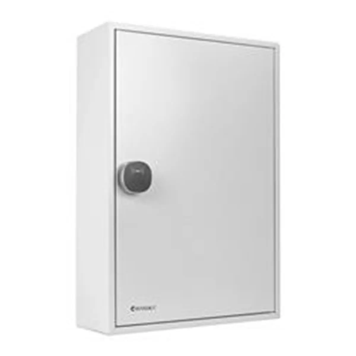 Barska  200 Adjustable Key Cabinet with RFID Lock, 200 Colored Key Tags, 30 Lbs, Key Lock, Keycards