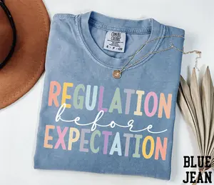 Comfort Colors Regulation Before Expectation Shirt, OT Shirt, Therapist Shirt, Sped Teacher Shirt, Sensory Regulation Shirt, Teacher Shirt
