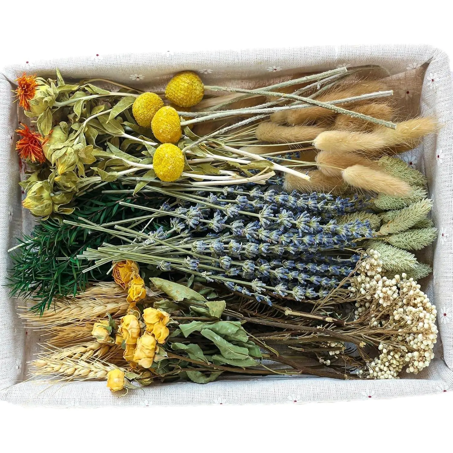 DIY Natural Dried Flower Set, Bulk Dried Flowers for Vase, Dried Flowers with Stems, Dried Roses, Mini Dried Flower Bouquets. (Brown)