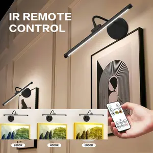 Remote Control Smart Goose Neck USB Lamp, Adjustable Dimmable LED Light, Three Color Timer Bedside Lamp, USB Rechargeable Decorative Light, LED Decoration Lamp