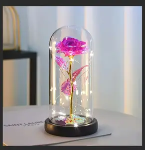 Eternal Galaxy Light Rose Birthday Gift for Her Mother's Christmas Commemorative Rose Gift A Rose for Her Dome Valentine's Gift Includes LED Lighting