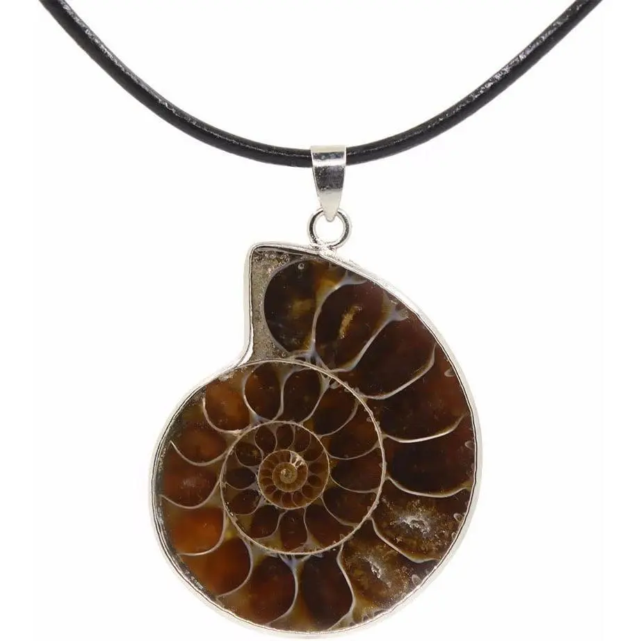 Natural Ammonite Fossil Jewelry Silver Tone Wrapped Pendant Necklace