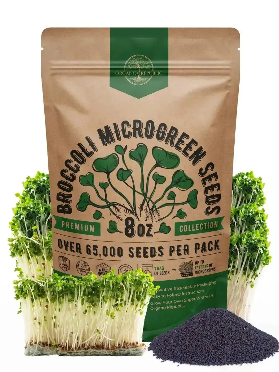 Broccoli Sprouting & Microgreens Seeds 8ozbroccoli seeds for sprouting, broccoli sprouts, broccoli sprout seeds, organic broccoli sprout seeds, broccoli sprouts growing kit, broccoli seeds, organic broccoli seeds for sprouting