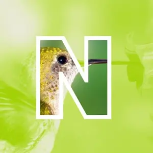 background preload poster image 