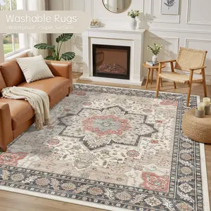 Bright Crown Machine Washable Rug,Low Pile Carpet,Non Slip Living Room Area Rugs for Entryway,Bedroom,Kitchen and Bathroom Carpets