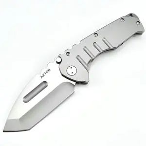 AXTOR D2 Steel Folding Knife, Titanium Silver Blade, Brushed Metal Handle, Tactical EDC Knife for Camping and Outdoor outdoorfun