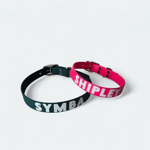 Custom Biothane Dog Name Collar