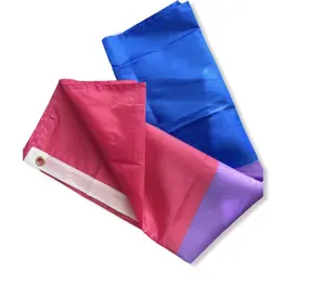 Bisexual Pride Parade Flag - UV Resistant Multicolor Flag for Indoor/Outdoor Use - Lightweight Polyester Material with Two Metal Grommets - 5 x 3 ft - Christmas & New Year LGBTQ+ Gift