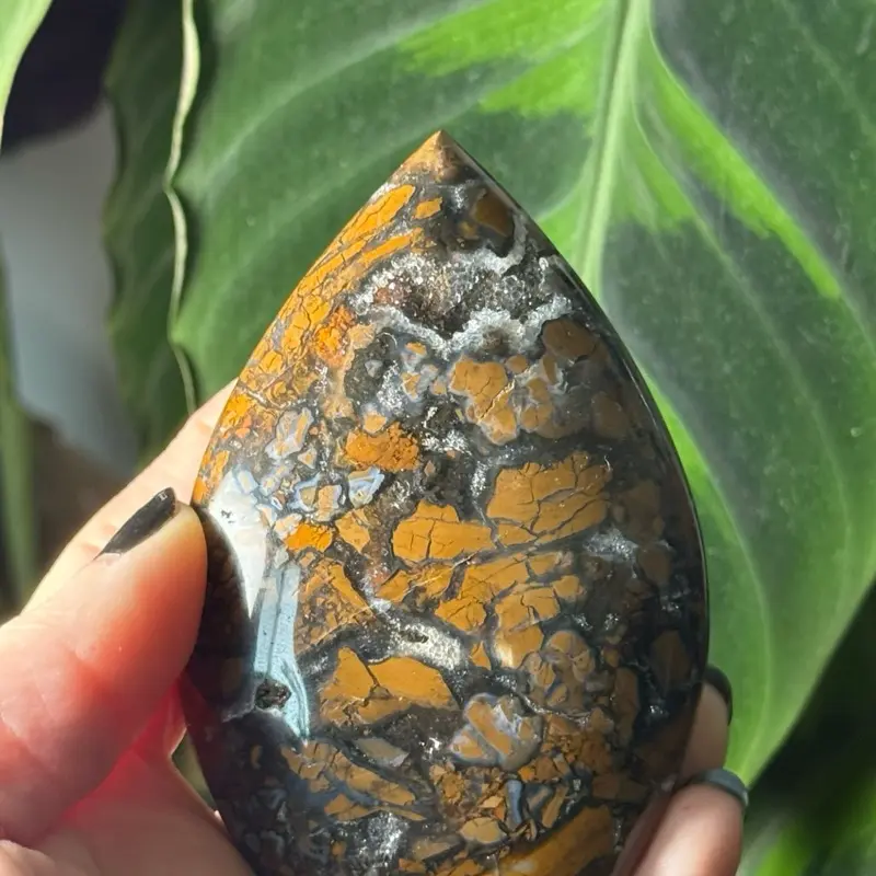 Brecciated Jasper Grounding Red Jasper Stone Strength Stability Crystal Polished Freeform Palm Stone for Healing