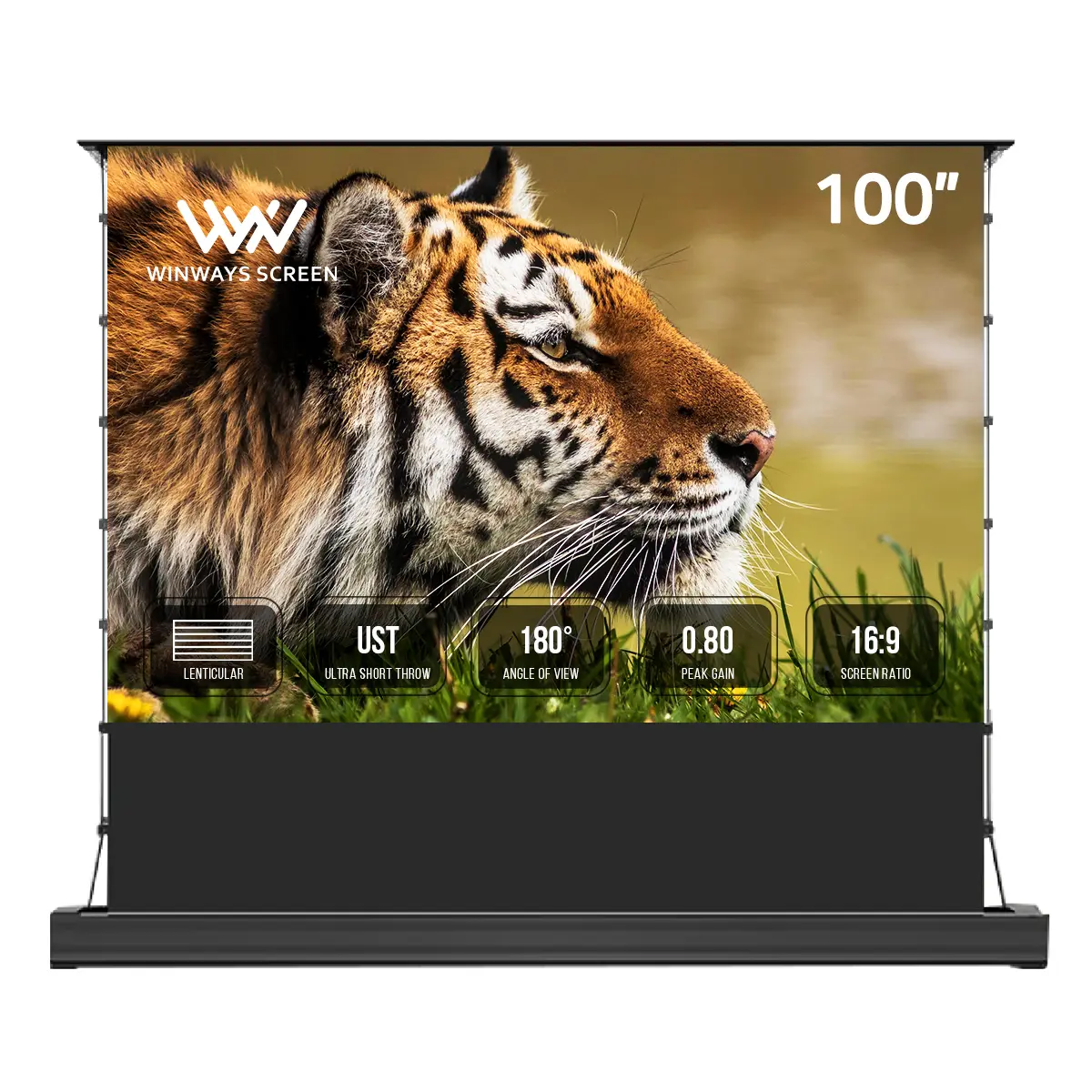 Winways UST Throw ALR 100'' Electric Lenticular Floor Rising Screen movie projection
