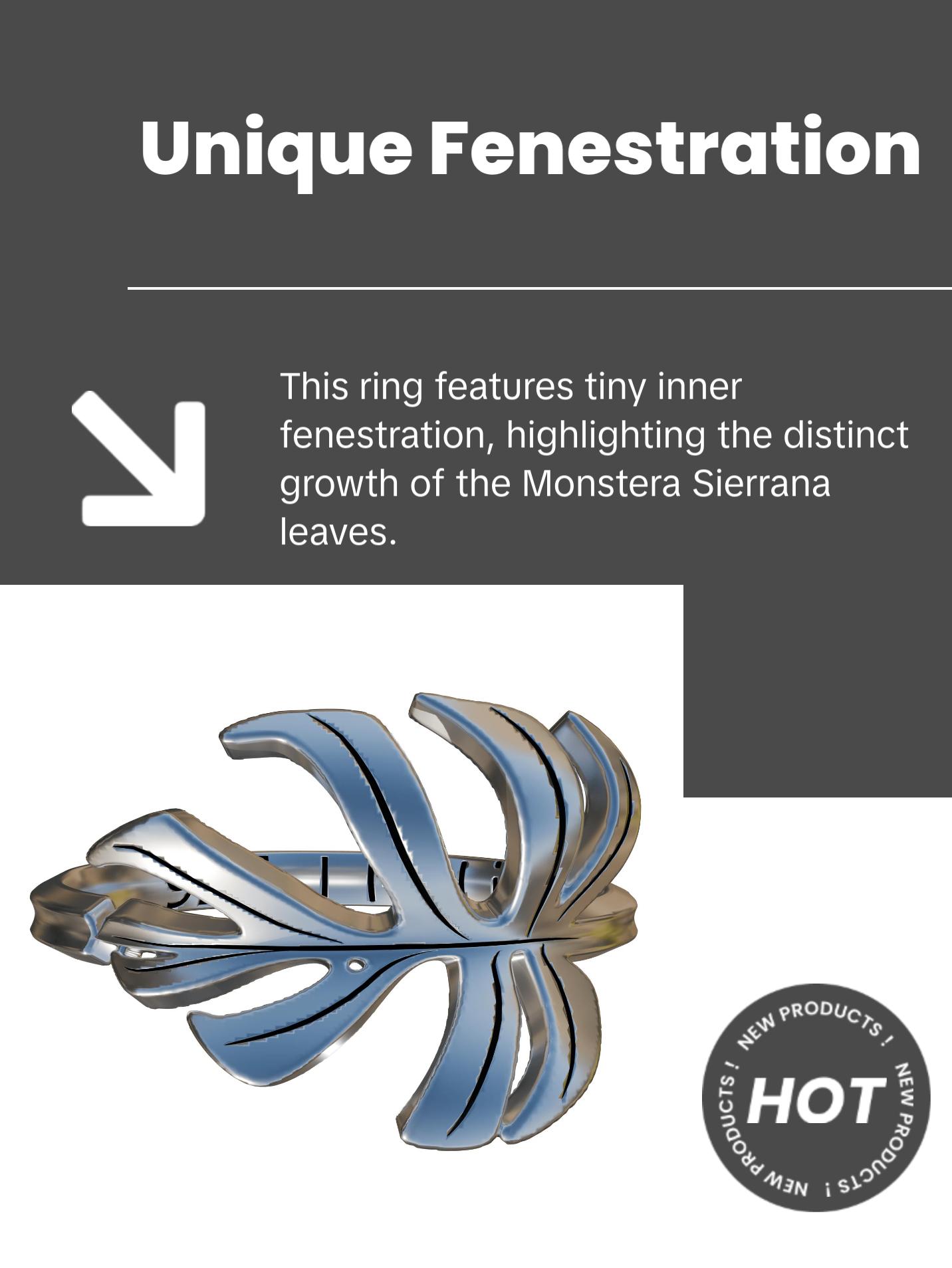 Monstera Sierrana Ring - Silver