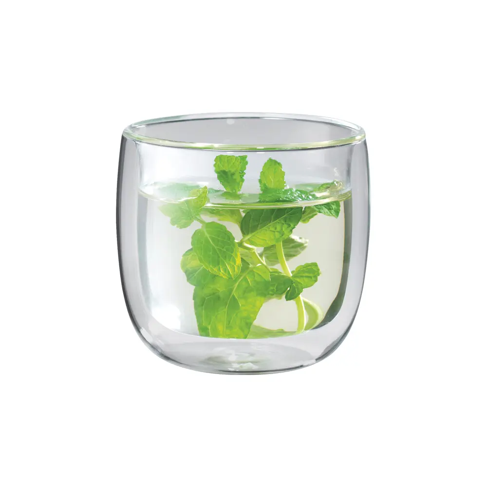ZWILLING Sorrento Double-Wall Glass Tea Cup Set