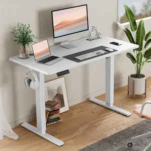Electric Standing Desk 40*24 Inch Height Adjustable Desk, 4 Memory Presets，Motorized Sit Stand Desk with Quiet Dual Motor, Modern Ergonomic Computer Desk for Home Office
