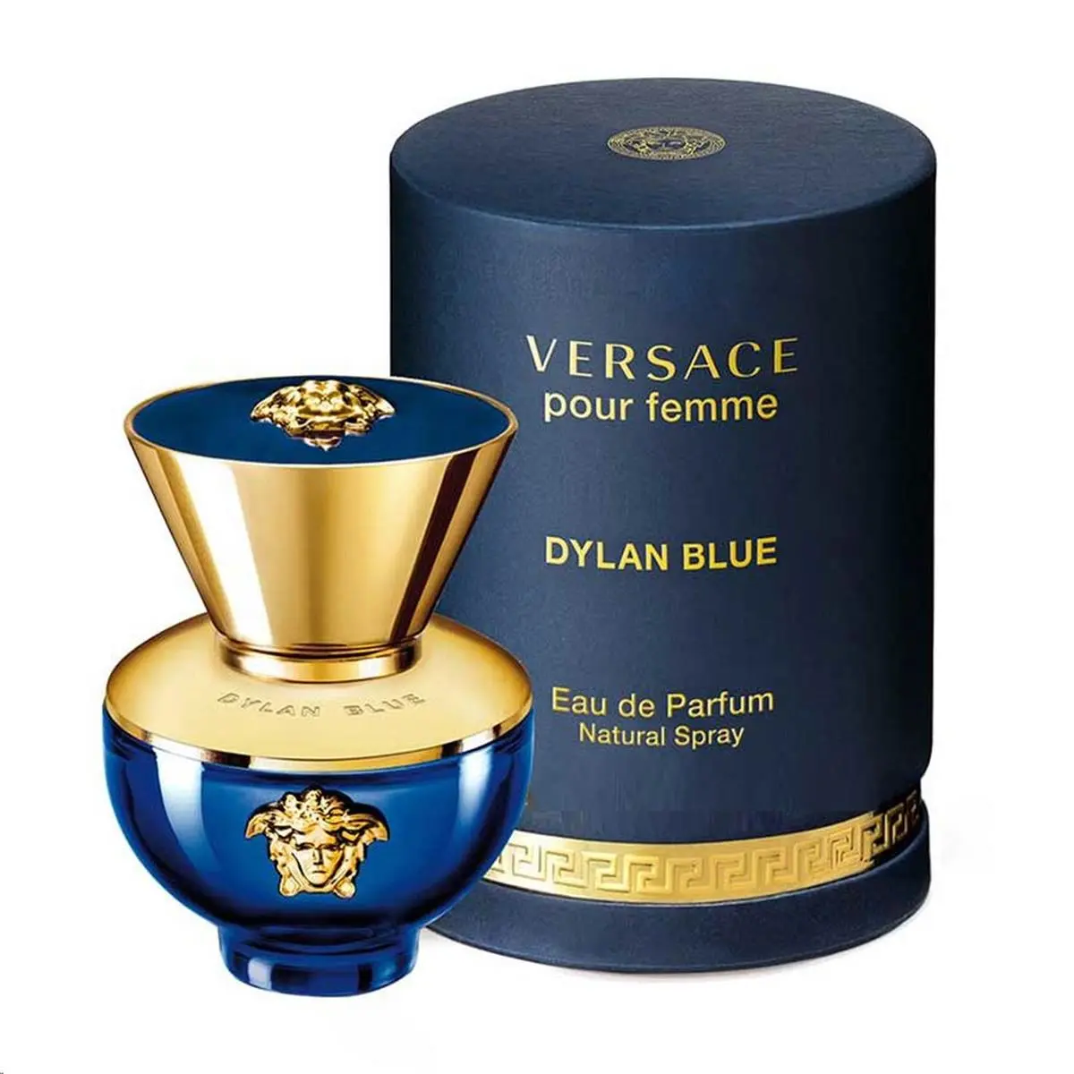 VERSACE Dylan Blue Pour Femme Eau de Parfum, Refreshing Women's Fragrances, Long-Lasting Versatile Grooming Spray, 3.4 Fl Oz, Spray Bottle, Casual Wear, Edp Perfume Fragrance, Cooling Effect